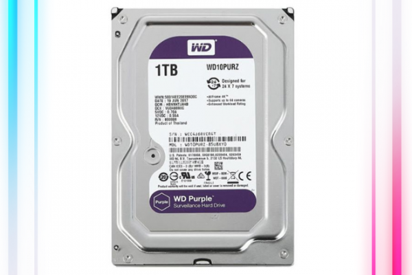 Ổ Cứng HDD WESTERN 1TB (WD10PURZ) - TÍM